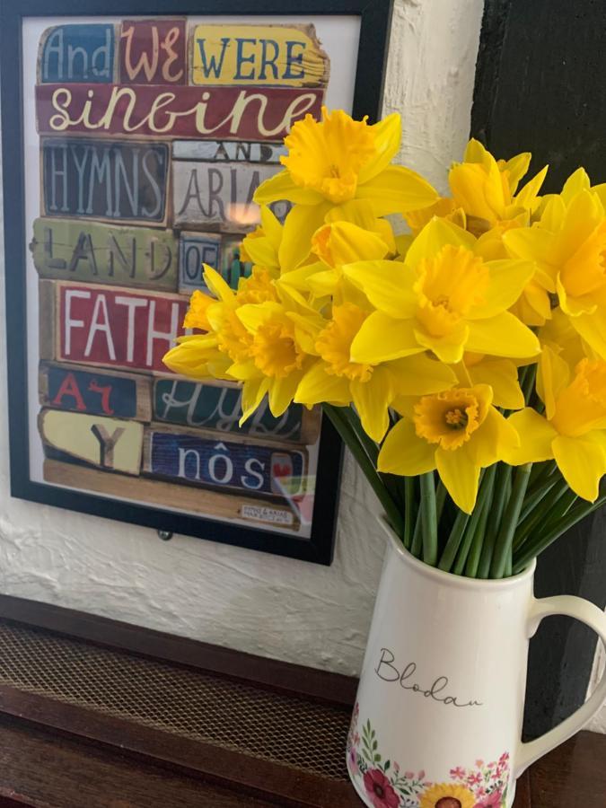 Rheolau Arms Bed & Breakfast Swansea Dış mekan fotoğraf